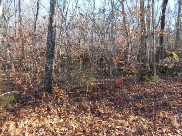 414 Doane Rd, New Market, TN 37820
